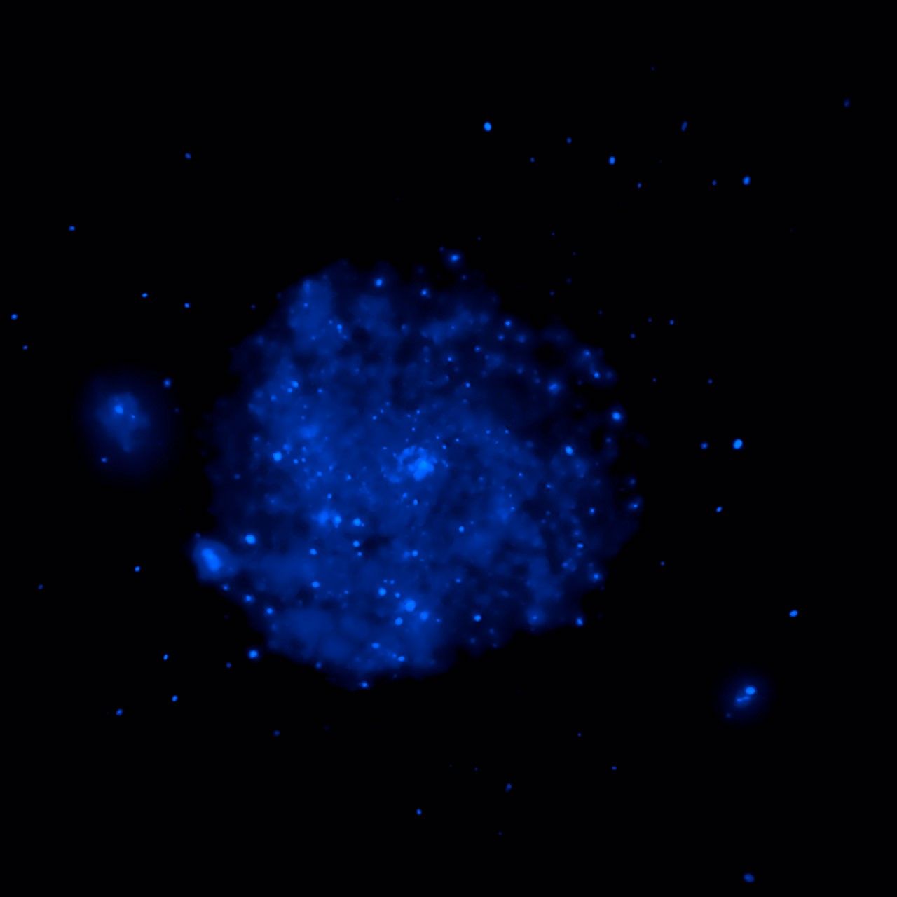 M101 Composite Image: Chandra Data (Blue Component)