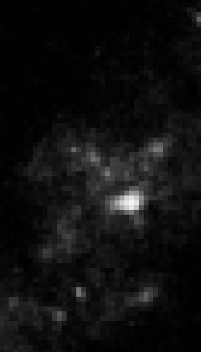 2007 HST WFPC2 Image of Region Near SN 2005gl – Progenitor is Gone
