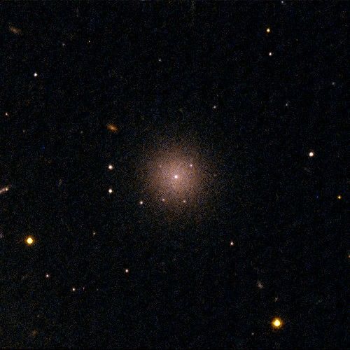 Perseus Dwarf Galaxy [CGW2003] J031900.4+4129