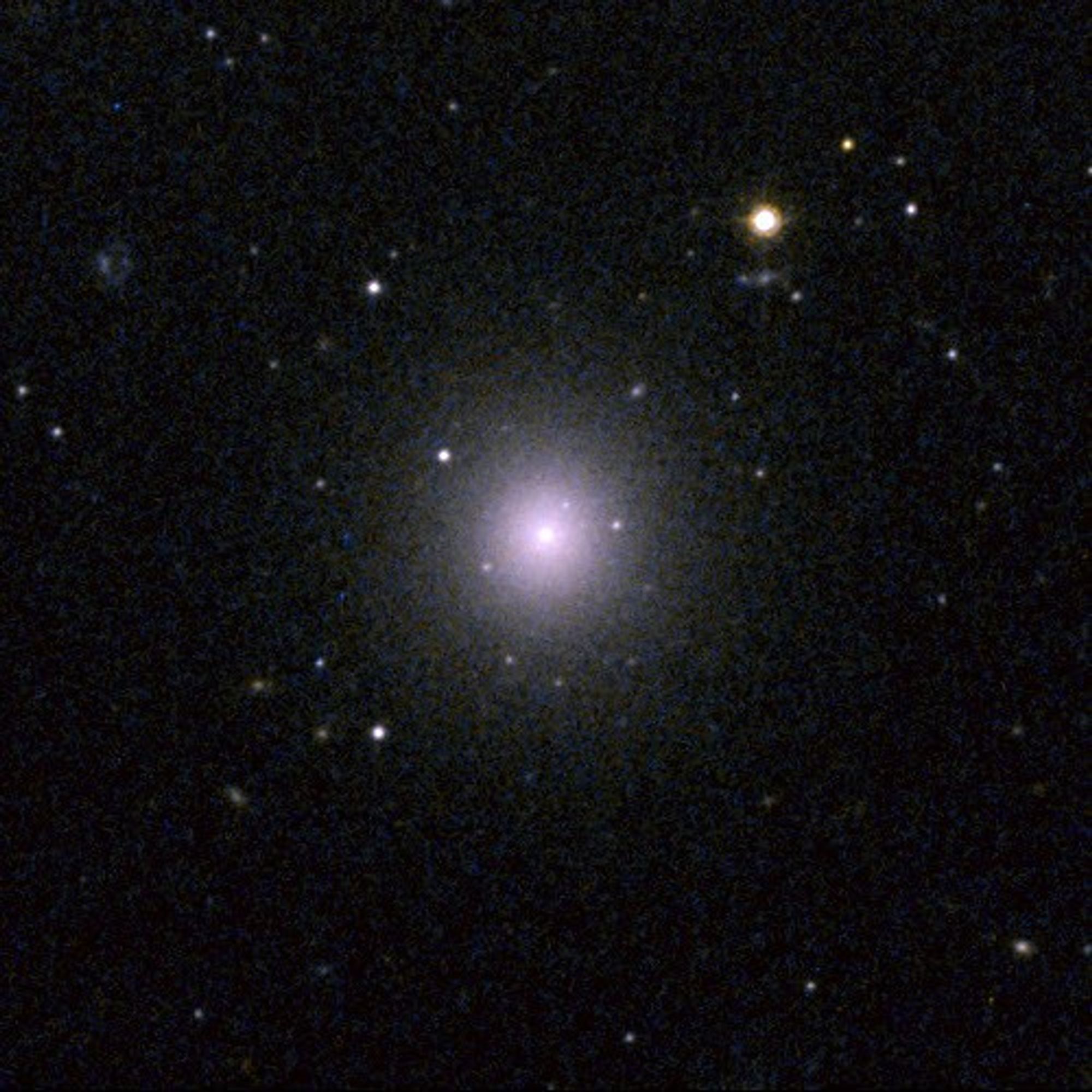 Perseus Dwarf Galaxy [CGW2003] J031910.4+4129