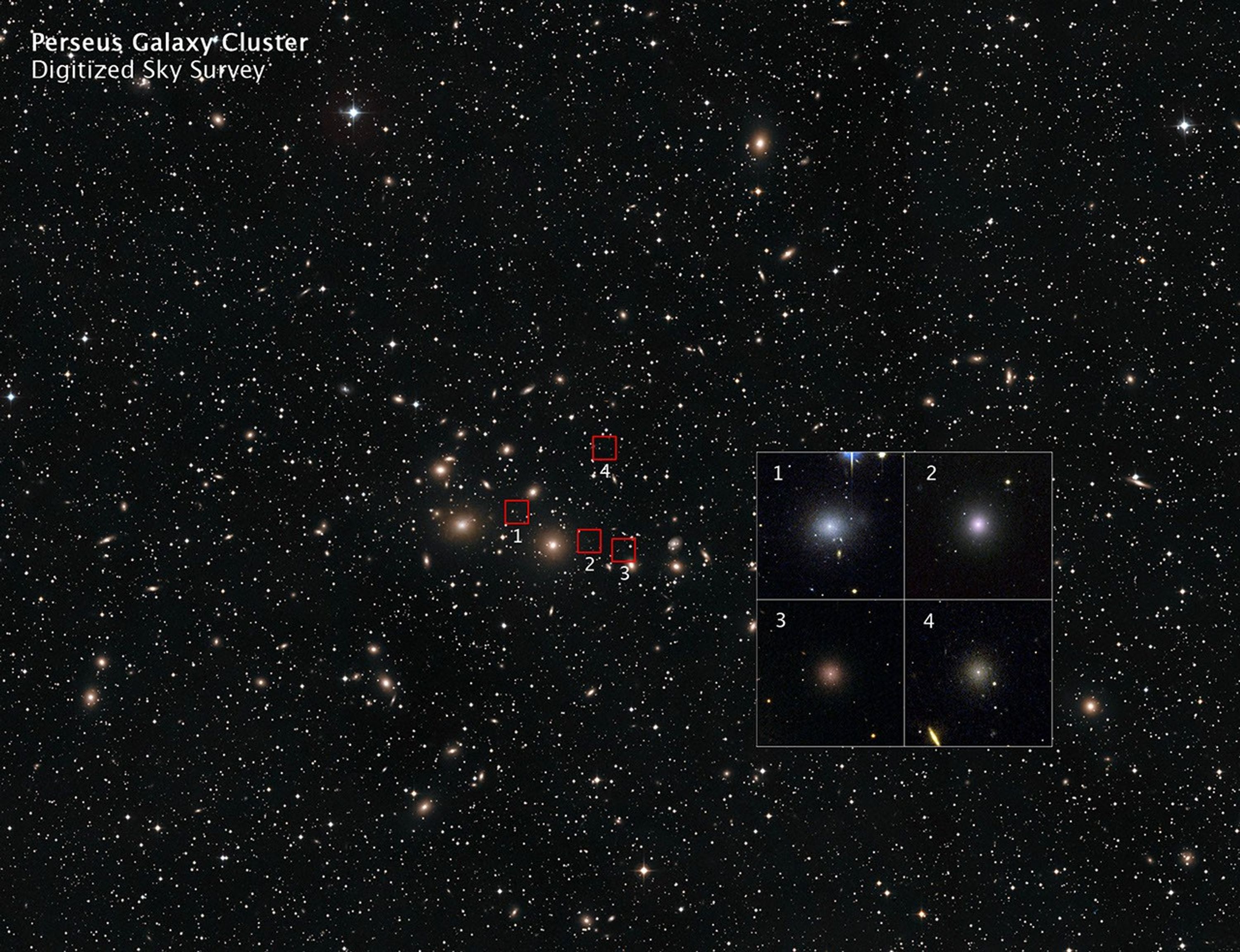 Annotated DSS Image with Location of Perseus Dwarf Galaxies