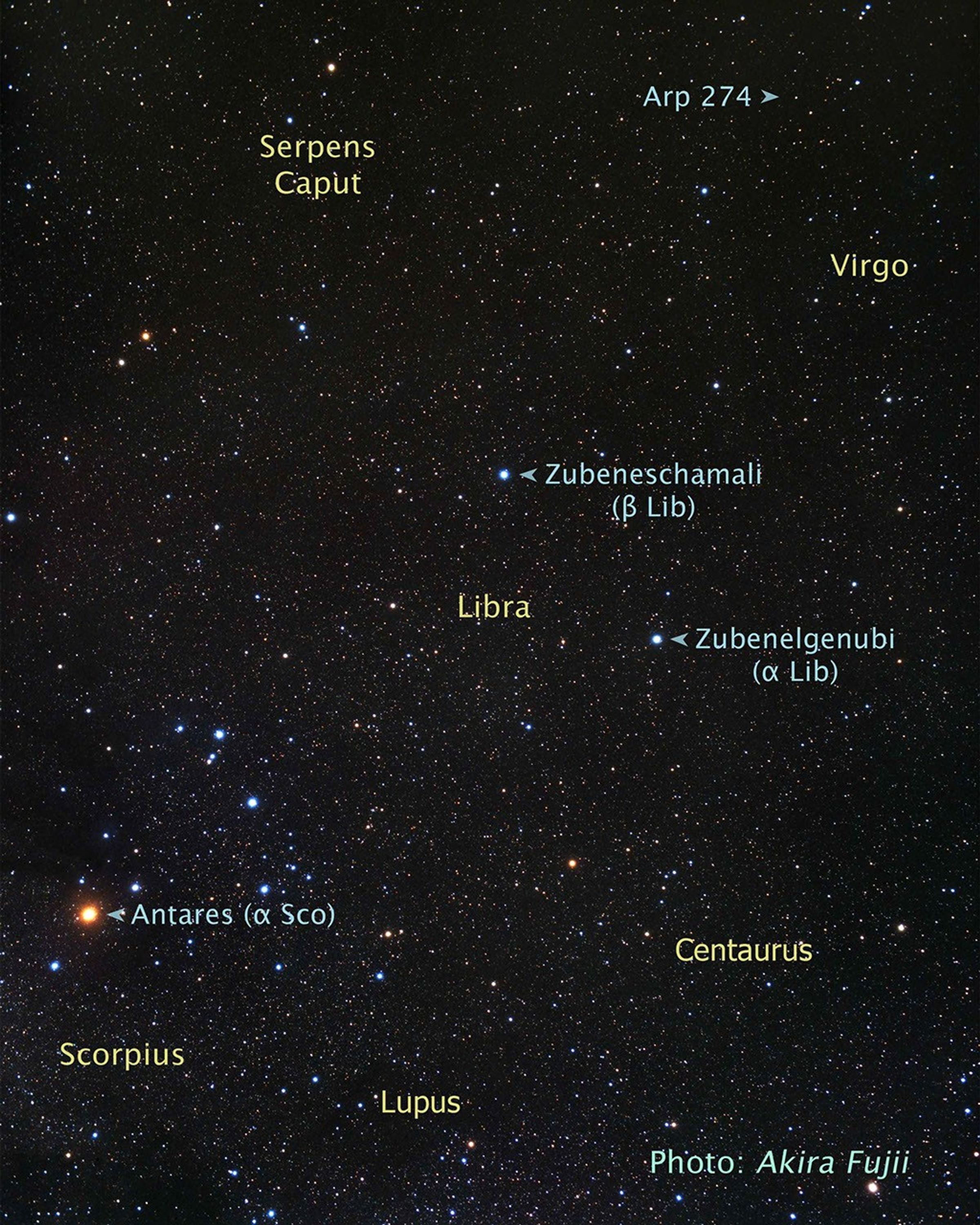 Constellation Region around Arp 274
