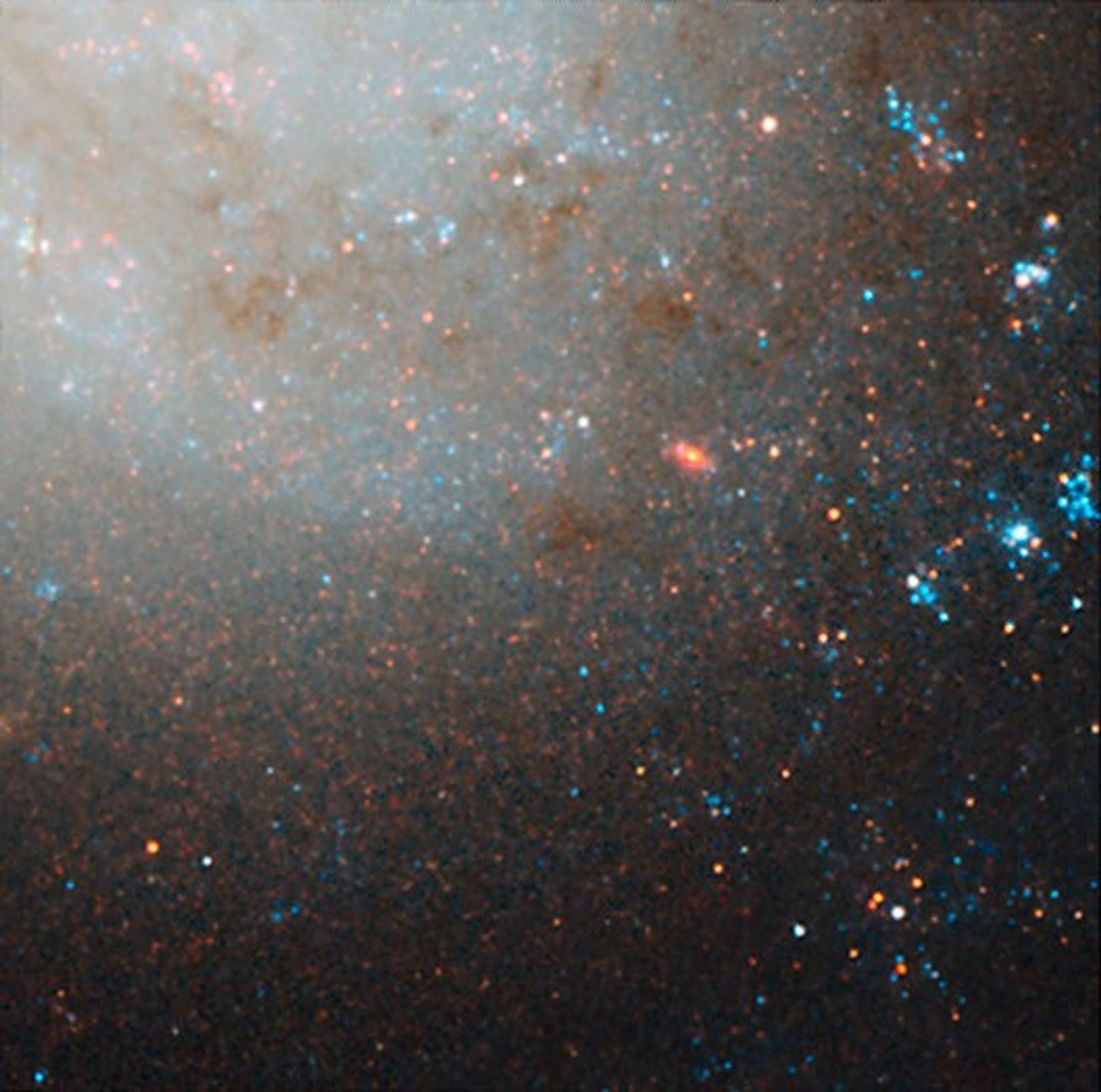 NGC 3021 NICMOS/ACS Detail 2