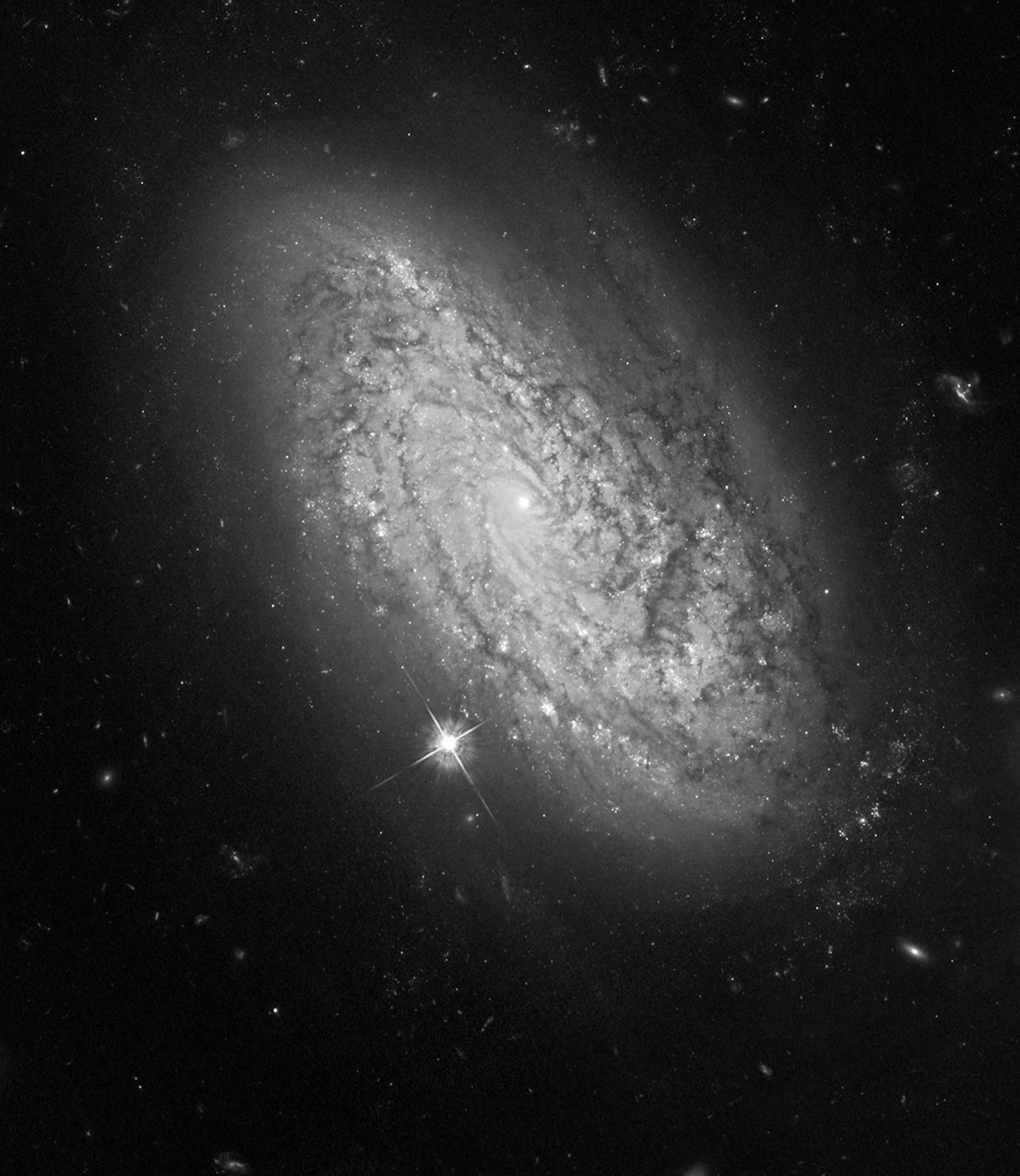 HST ACS/WFC Image of NGC 3021
