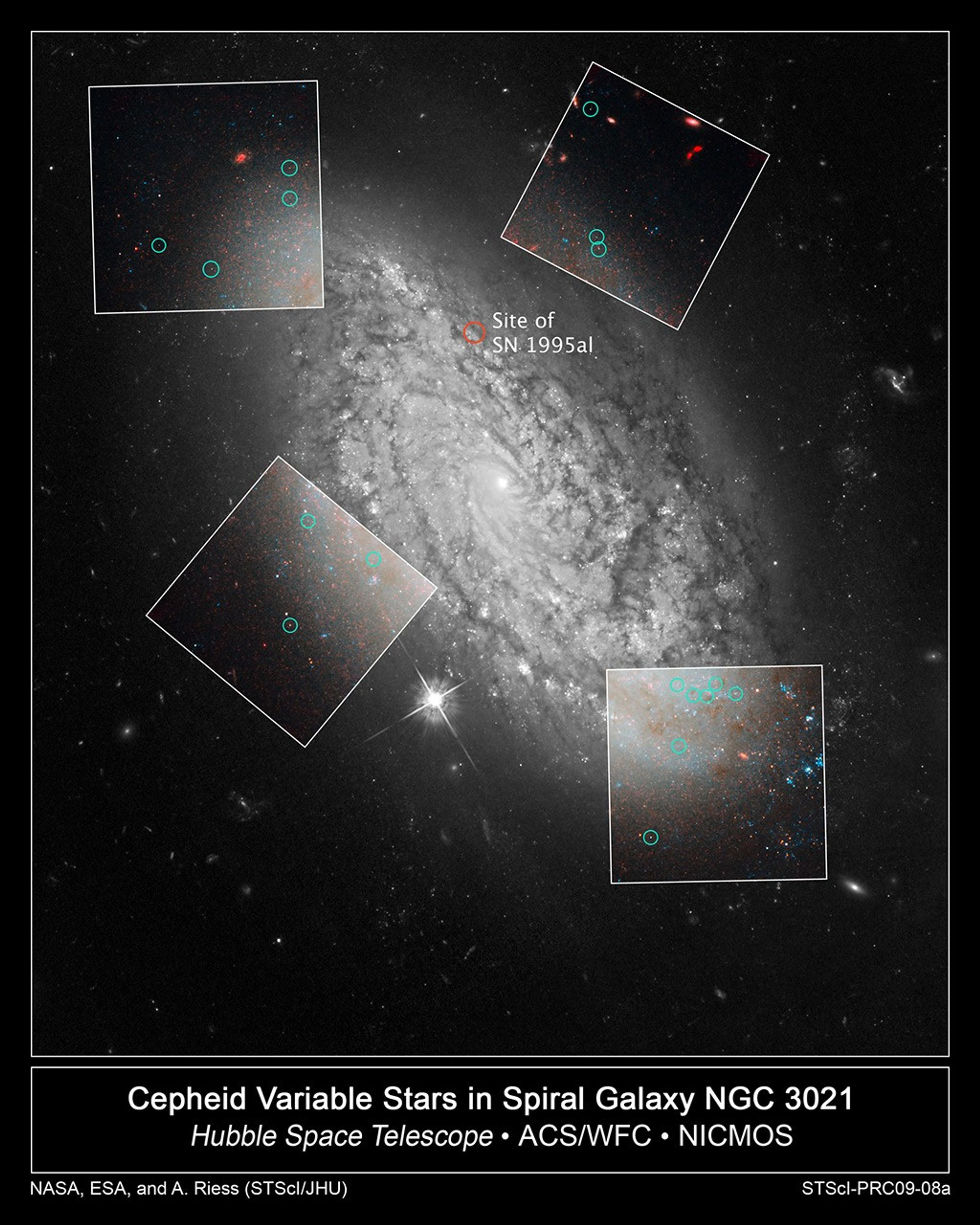Cepheid Variable Stars in Spiral Galaxy NGC 3021