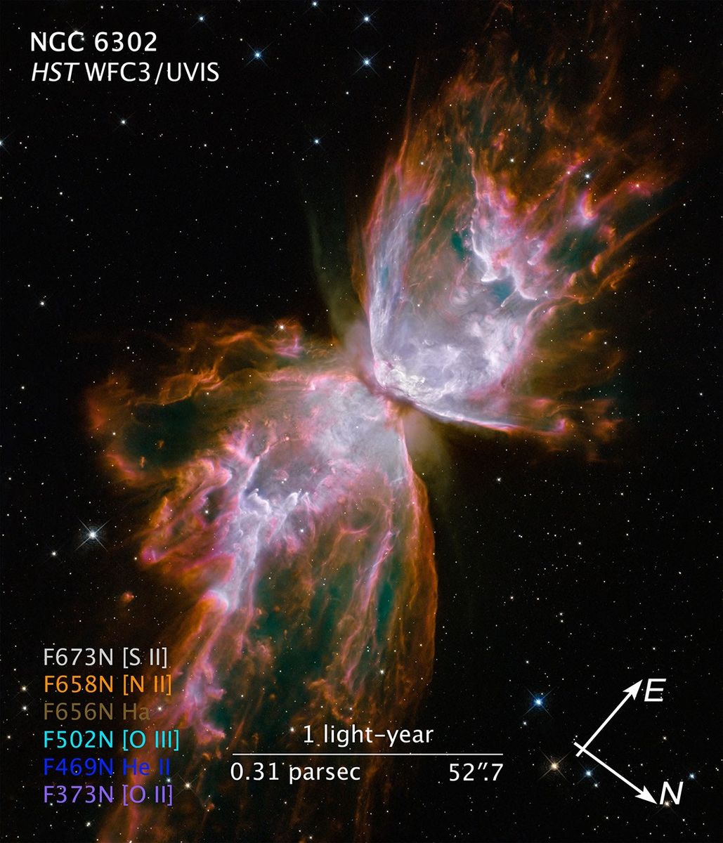 Supernova Explosion Animation - NASA Science