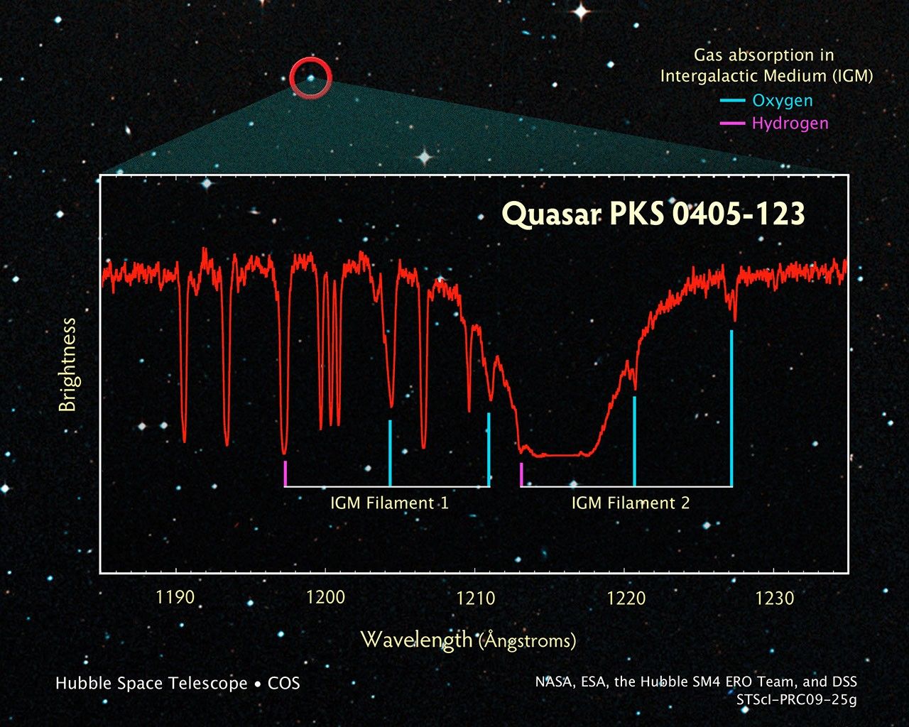 Fingerprinting the Distant Universe Using the Light from Quasar PKS 0405-123