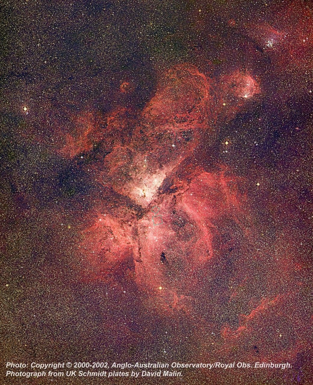 Ground Image of the Carina Nebula