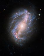 Barred Spiral Galaxy NGC 6217
