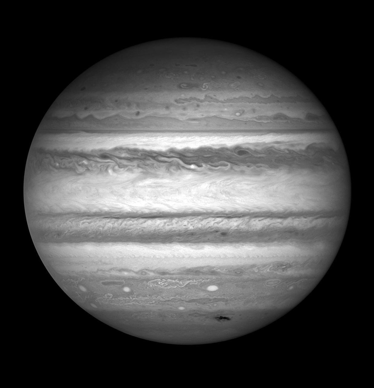 Single-Filter Jupiter Image (F437)