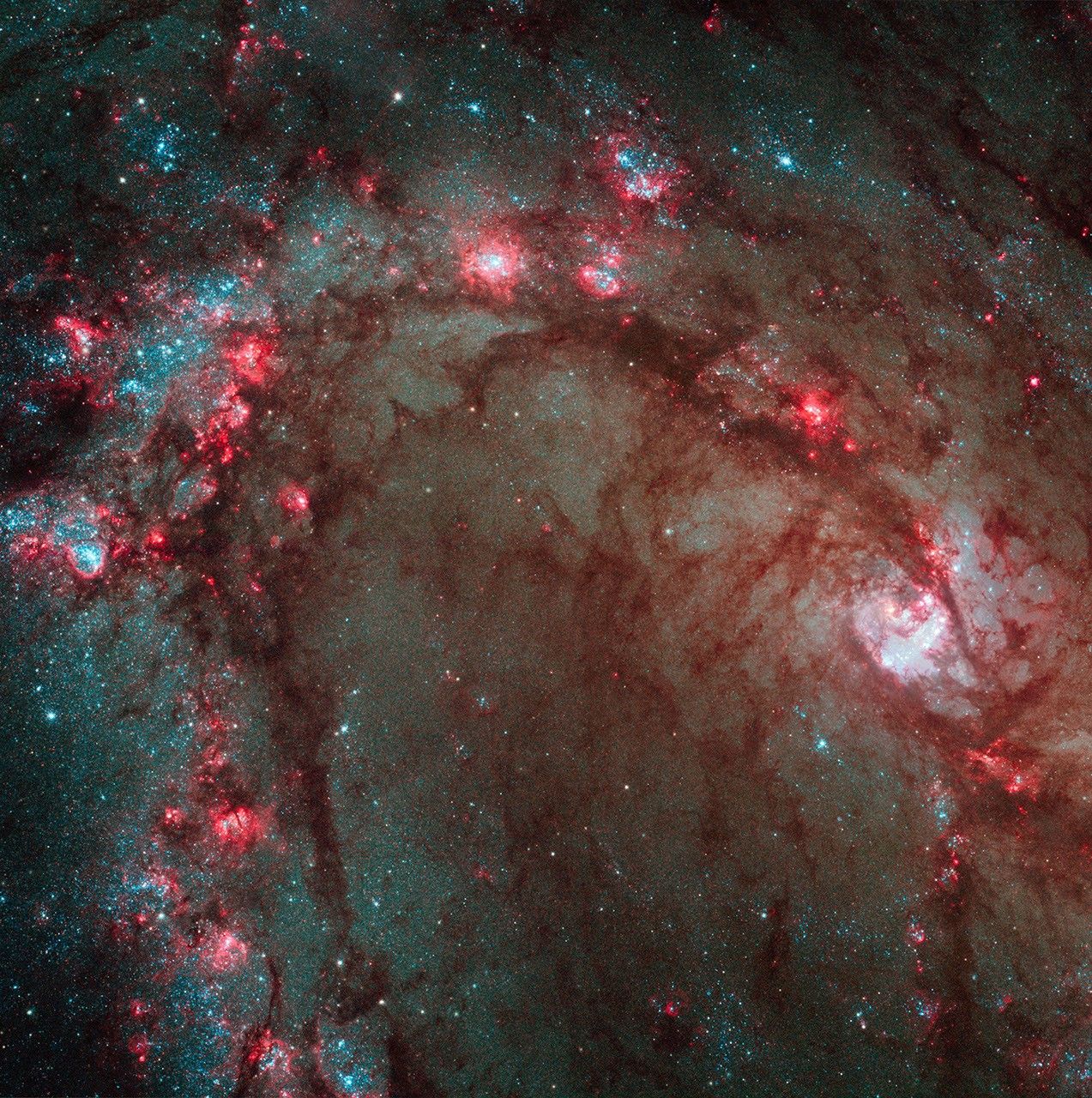 Hubble Wide Field Camera 3 Image Details Star Birth in Galaxy M83