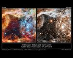 Framed side-by-side comparison of 30 Doradus as seen by the Hubble Space Telescope. The image on the left is titled “Visible” and the image on the right is titled “Infrared.” Title text toward the bottom reads “30 Doradus Nebula and Star Cluster, Hubble Space Telescope, WFC3/UVIS/IR.”