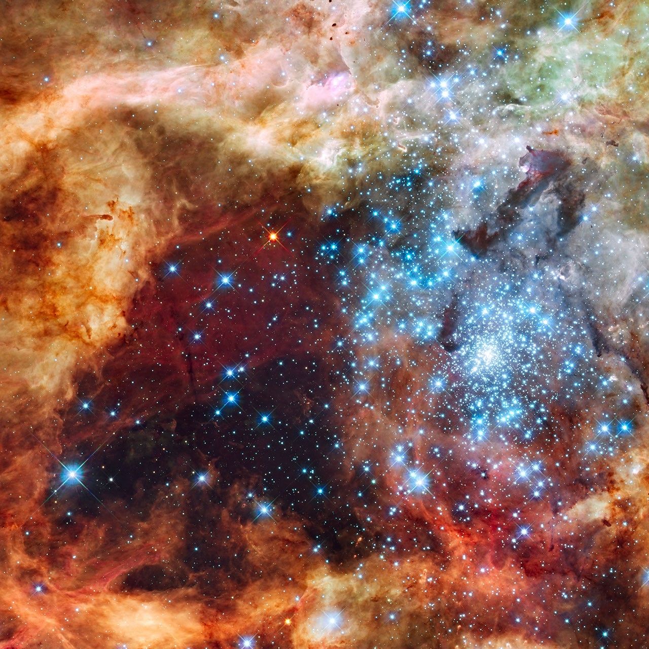 A dense cluster of bright blue-white stars surrounded by fluffy orange and brown material.