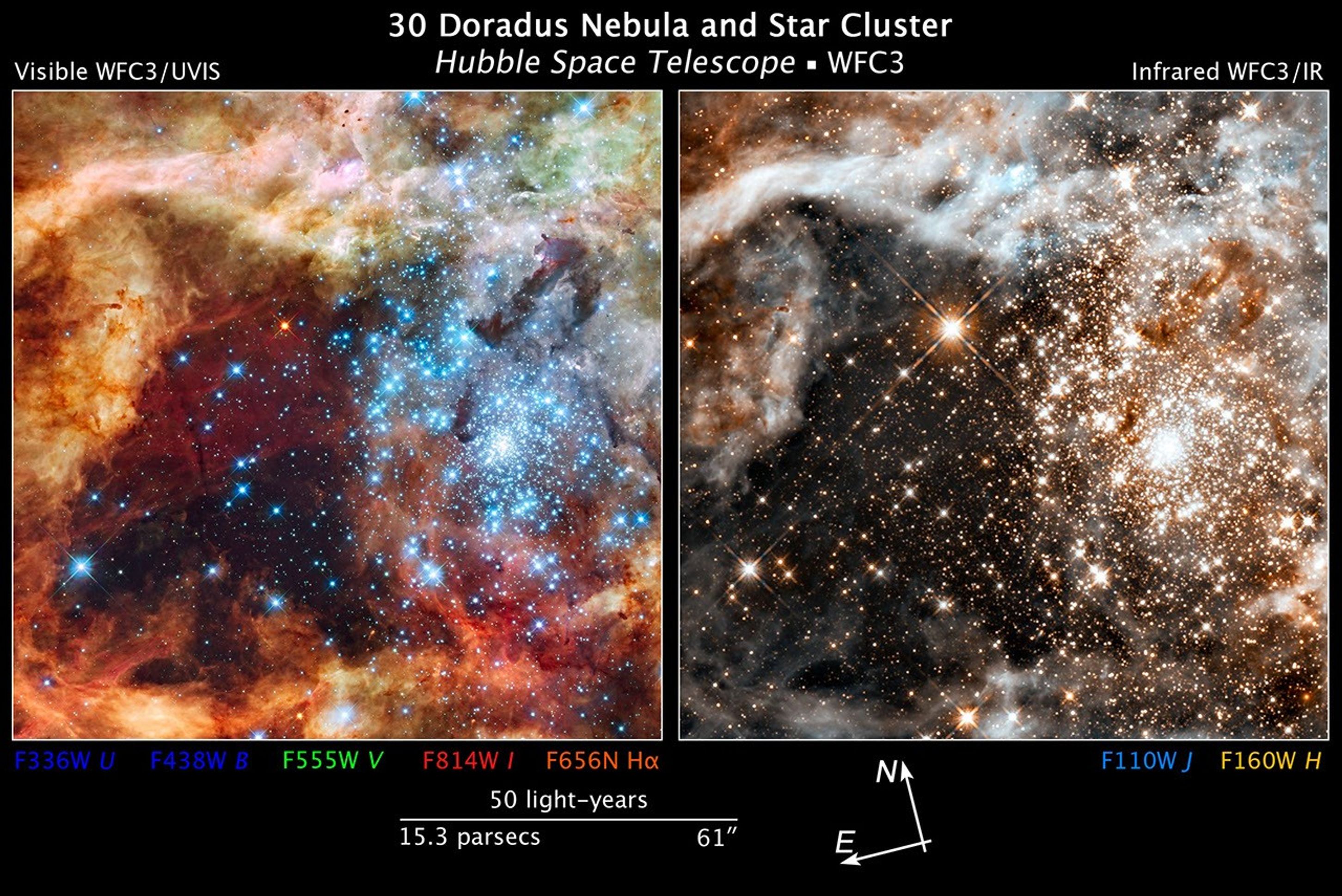 Framed side-by-side comparison of two images titled “30 Doradus Nebula and Star Cluster, Hubble Space Telescope, WFC3” with compass arrows, scale bar, and color key.