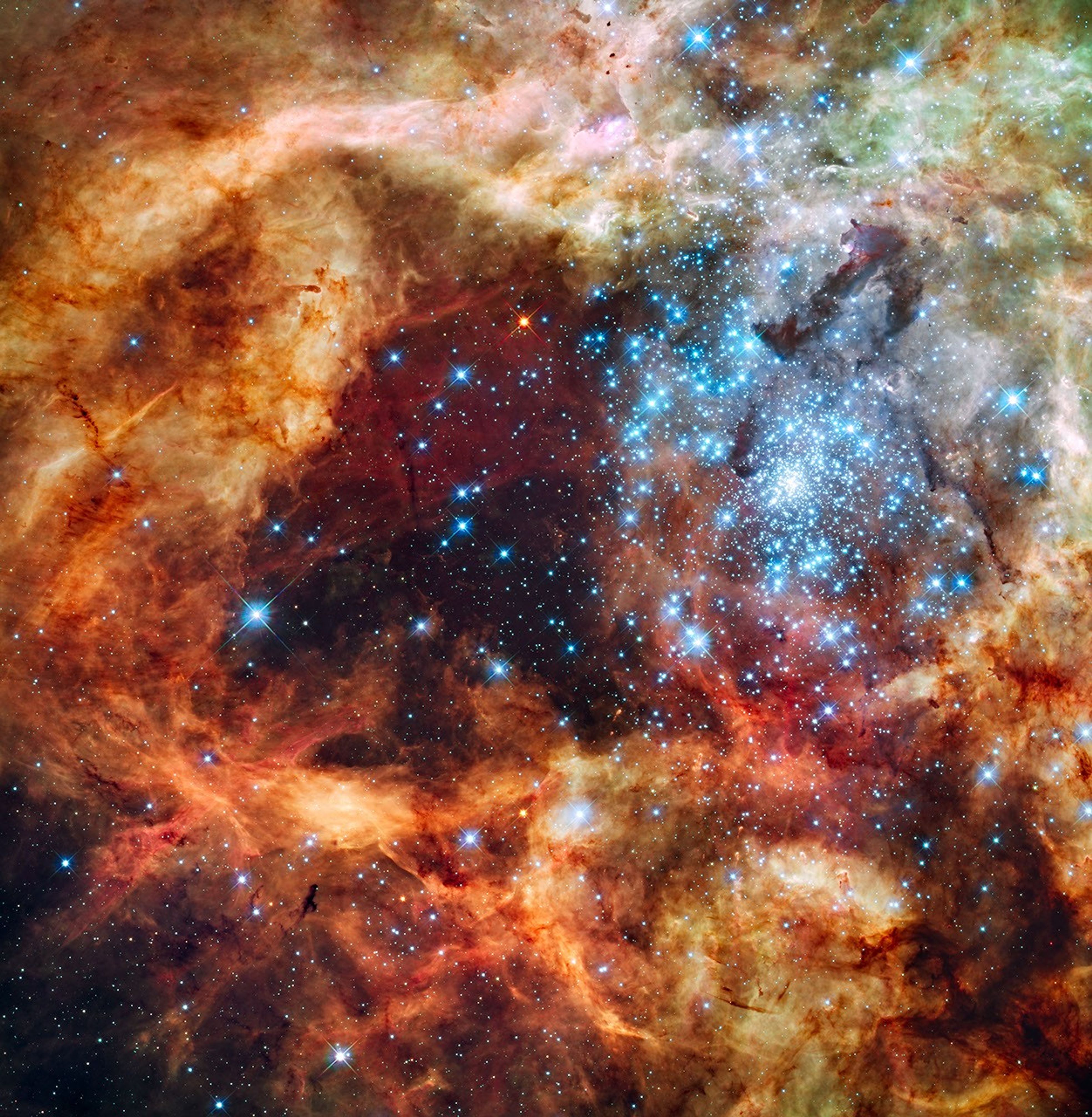 Framed image of a dense cluster of bright blue-white stars surrounded by fluffy orange and brown material.