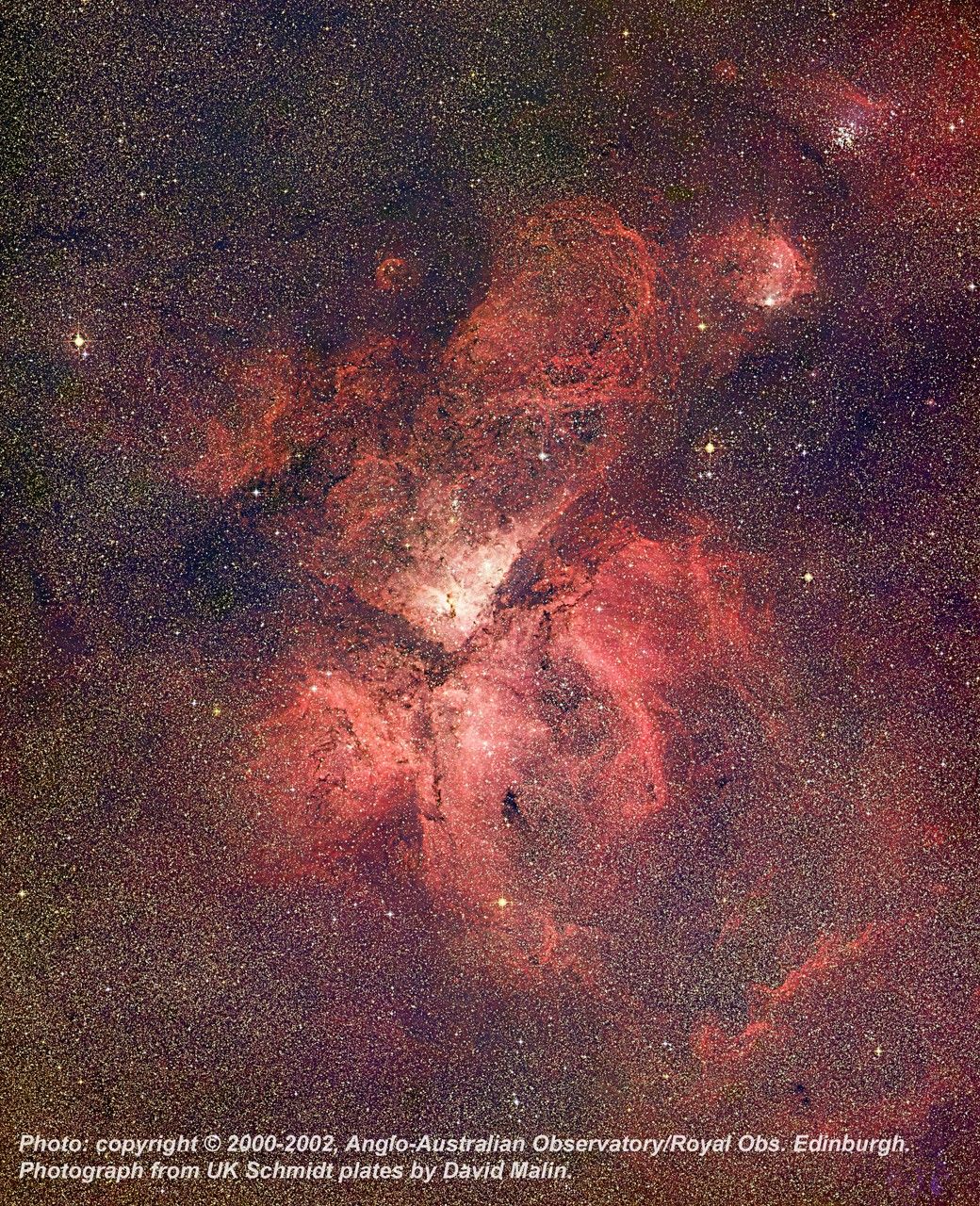 Ground Image of the Carina Nebula