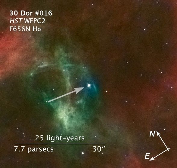 Compass/Scale Image of 30 Dor Runaway Star