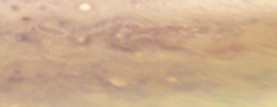 Jupiter, Hubble WFC3: September 23, 2009