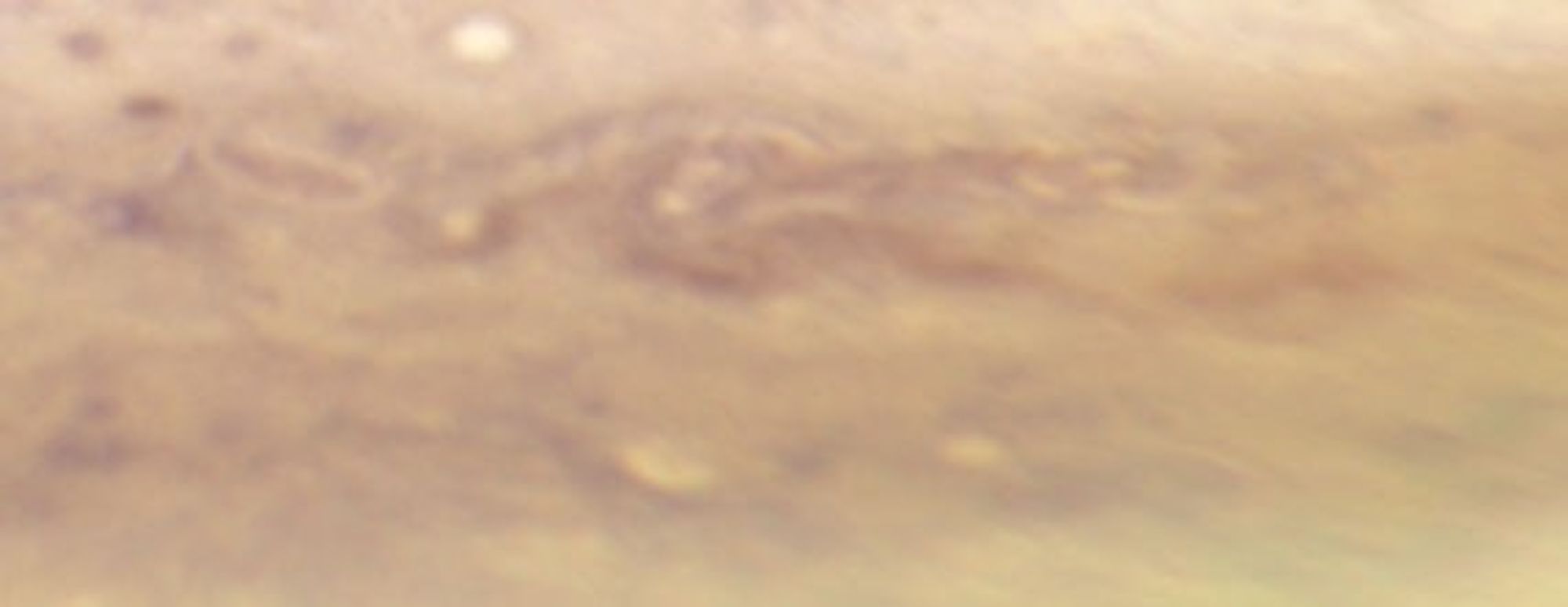 Jupiter, Hubble WFC3: September 23, 2009