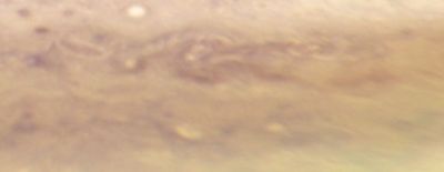 Jupiter, Hubble WFC3: September 23, 2009