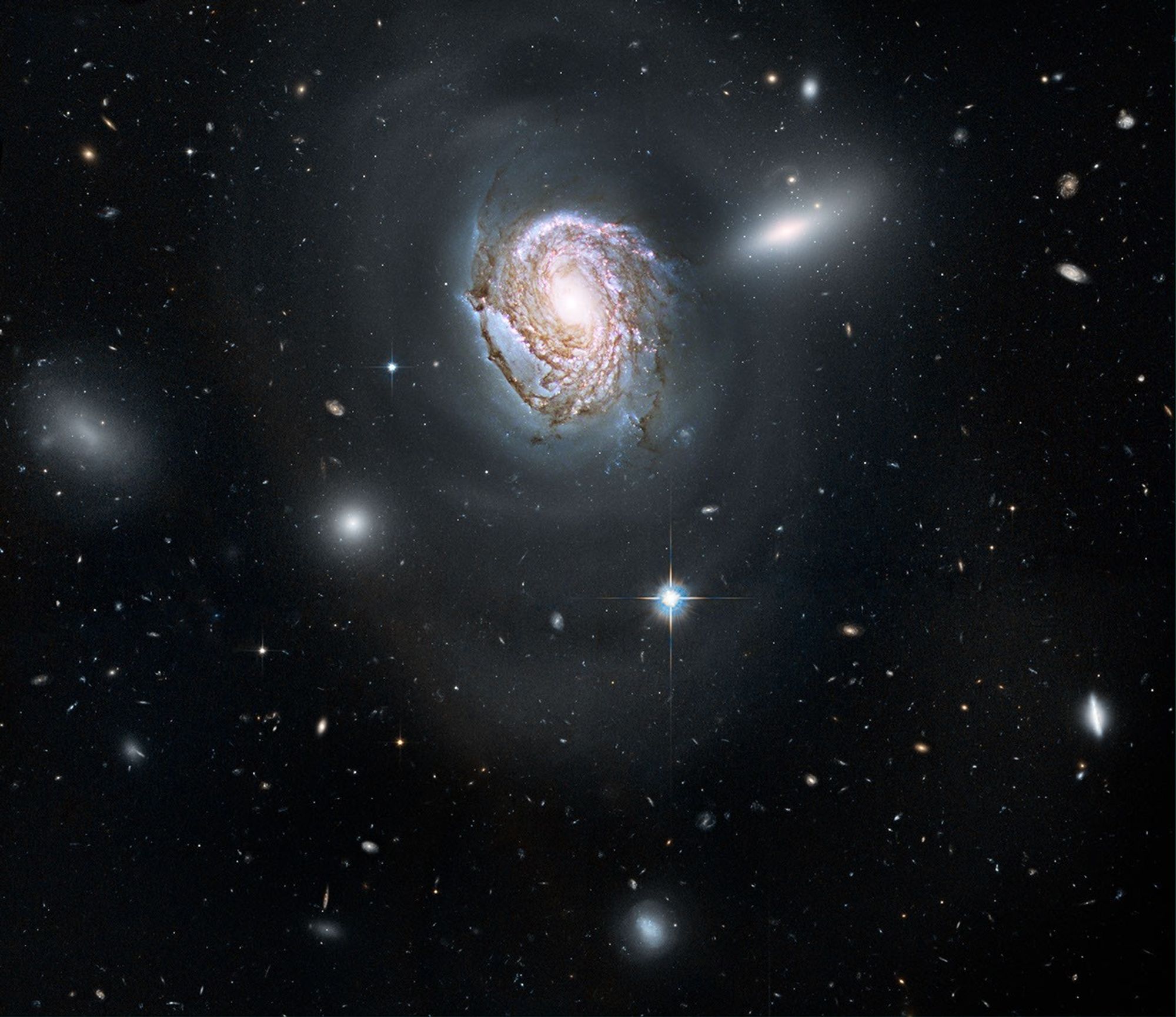 Spiral Galaxy NGC 4911 in the Coma Cluster