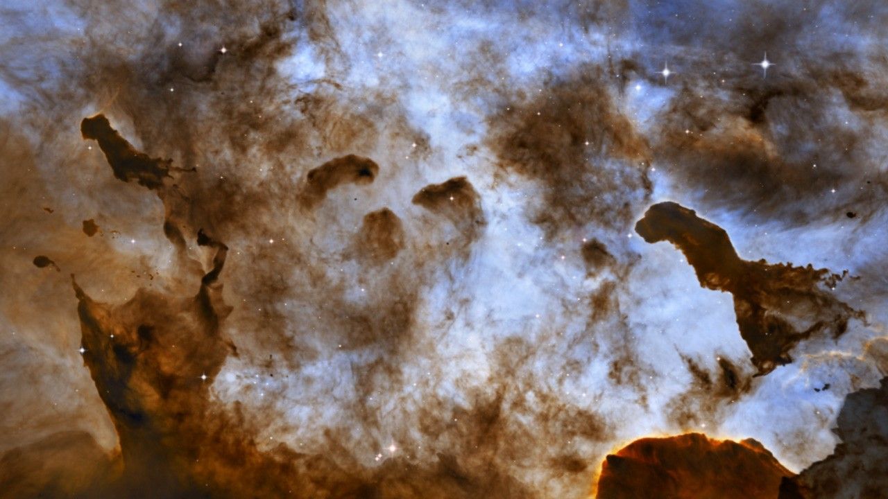 A Flight Into the Dark Pillars of Carina
