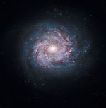 Face-on Spiral Galaxy NGC 3982