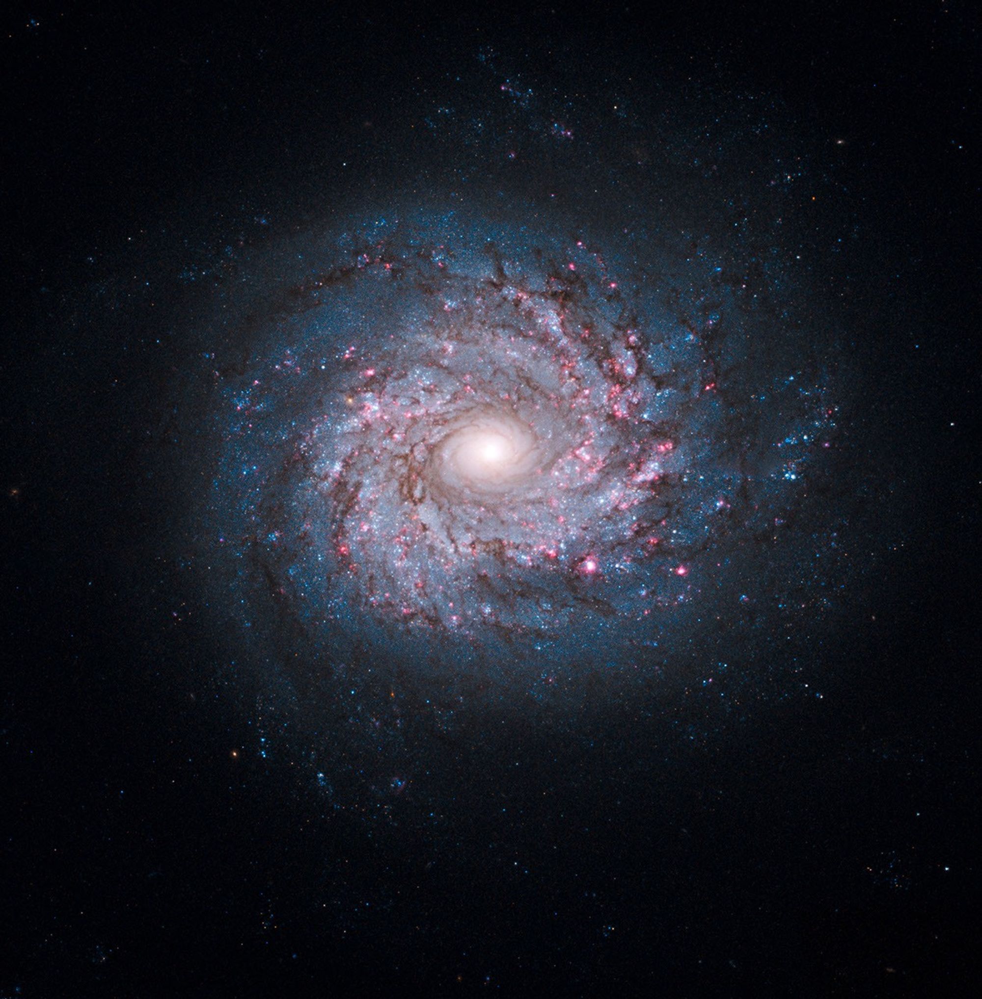 Face-on Spiral Galaxy NGC 3982