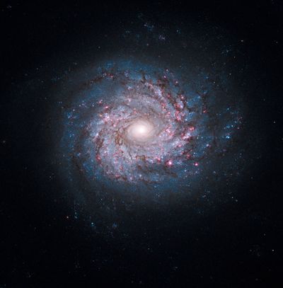 Face-on Spiral Galaxy NGC 3982