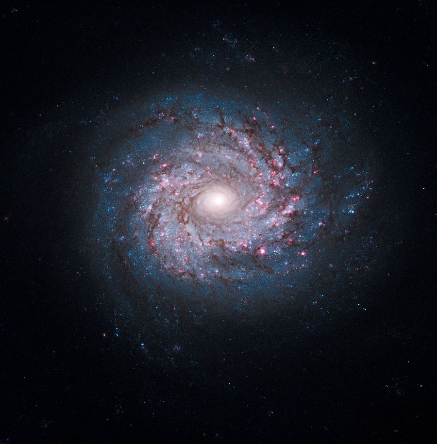 Face-on Spiral Galaxy NGC 3982