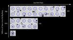 Rate of Star Birth in the Early Universe