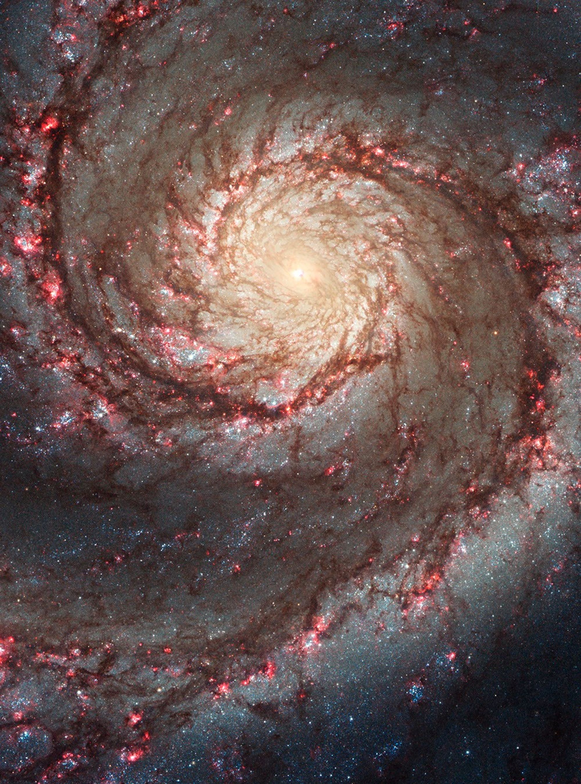 Hubble ACS Visible Image of M51