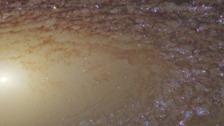 Spiral Galaxy NGC 2841 – Pan