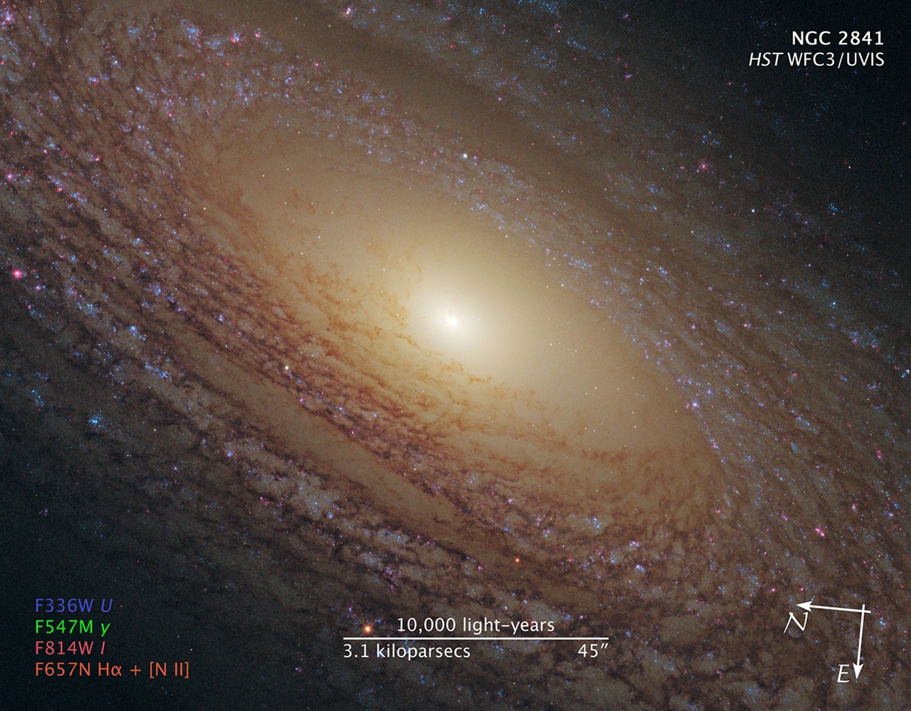 Image titled “NGC 2841, HST WFC3/UVIS” with compass arrows, scale bar, and color key.