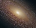 A spiral galaxy with a mixture of red and blue stars threaded throughout many lanes of dark brown dust.
