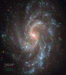 Cepheids in Spiral Galaxy NGC 5584