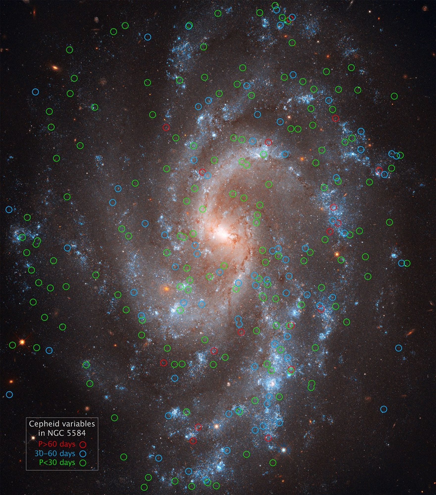 Cepheids in Spiral Galaxy NGC 5584
