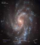 Compass and Scale Image of NGC 5584