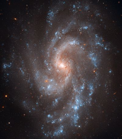 Hubble’s View of NGC 5584