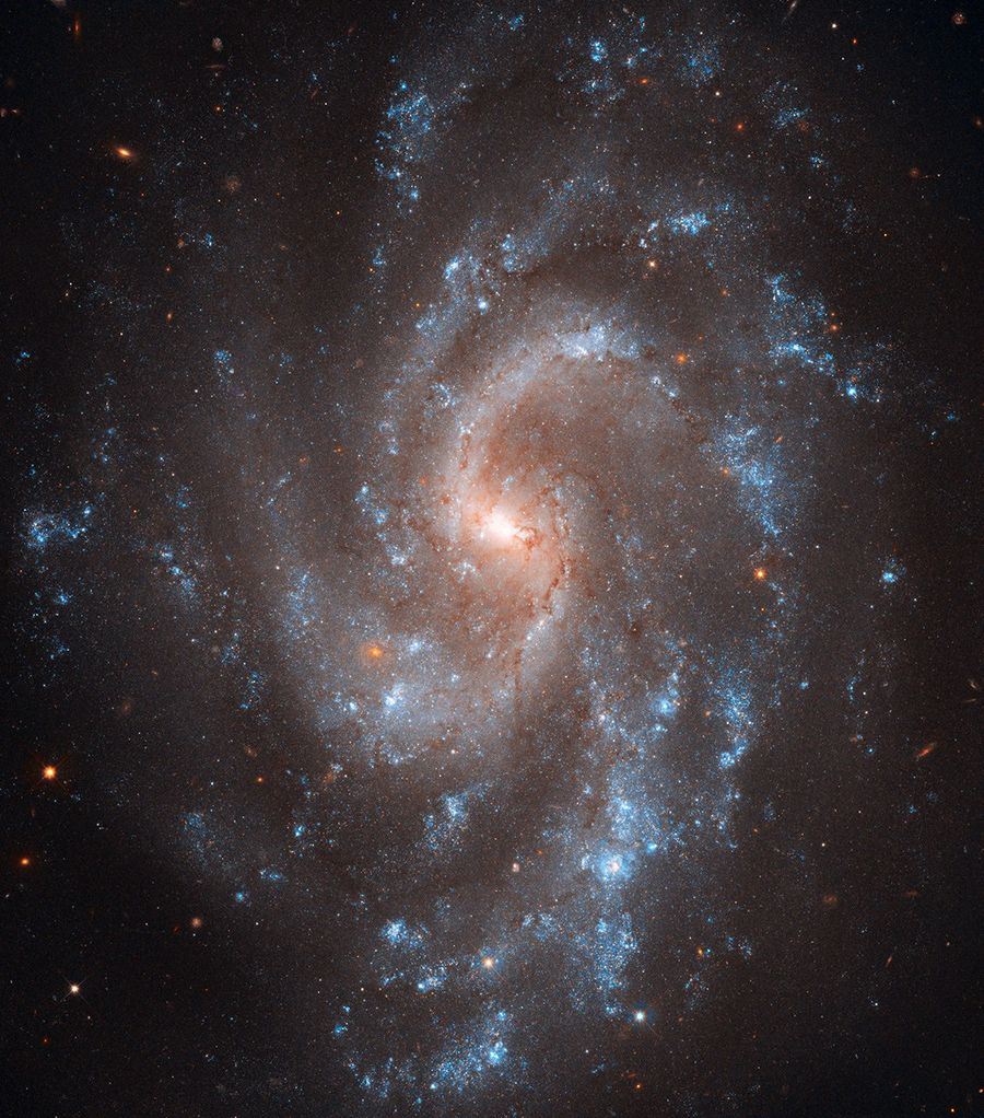 Hubble's View of NGC 5584