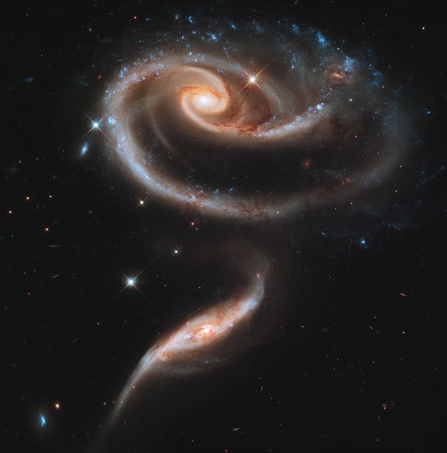 Two spiral galaxies forming a rose-like pattern.
