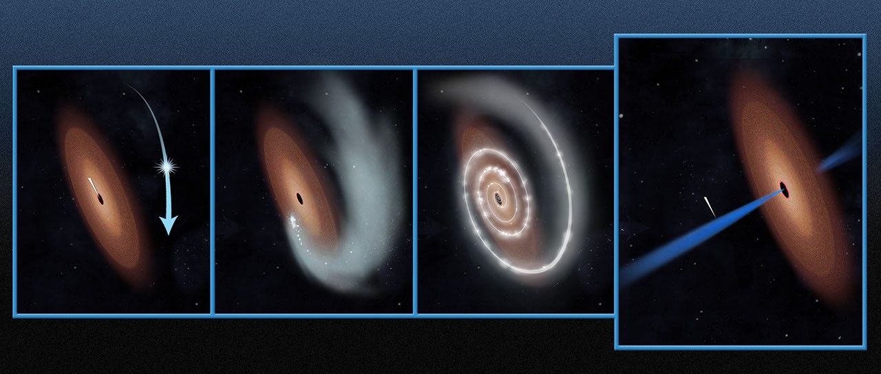 Black Hole Eats Star (Unannotated)