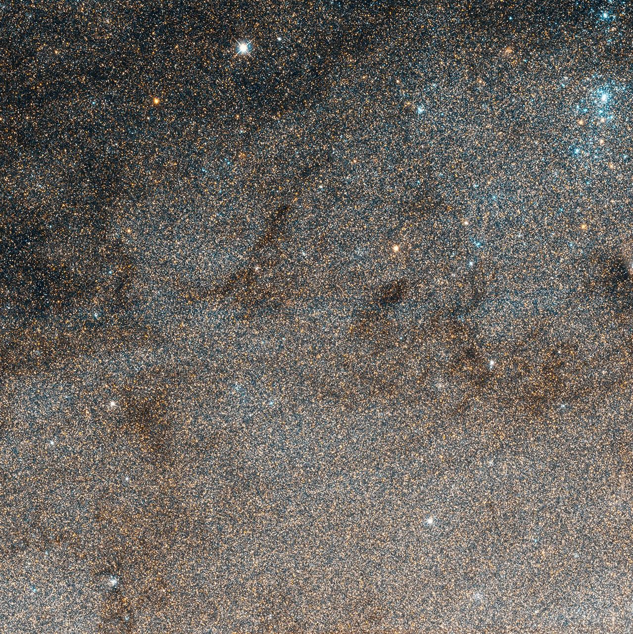 Star Field in M31 Imaged by Hubble WFC3