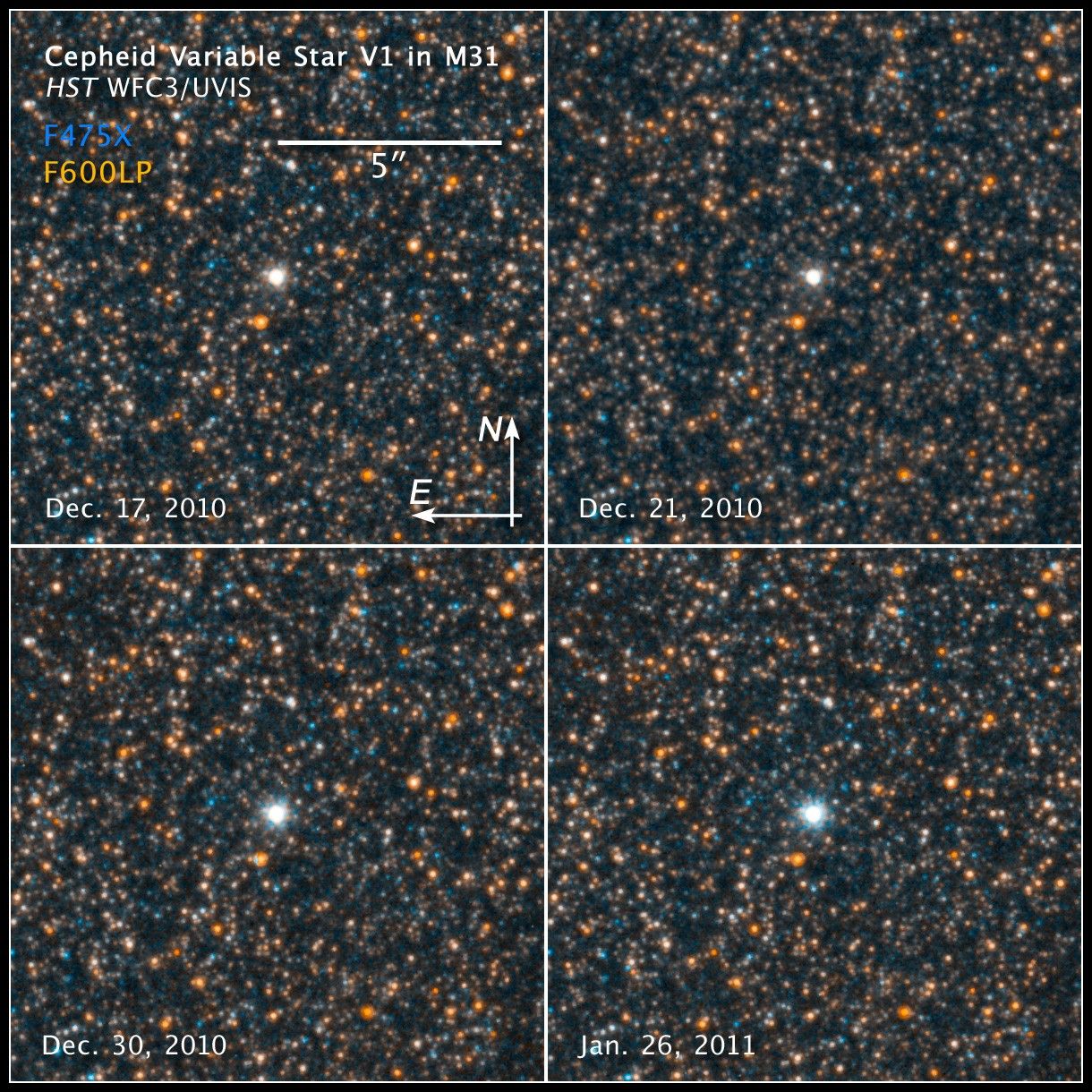 Compass and Scale Image of Cepheid Variable V1 in M31