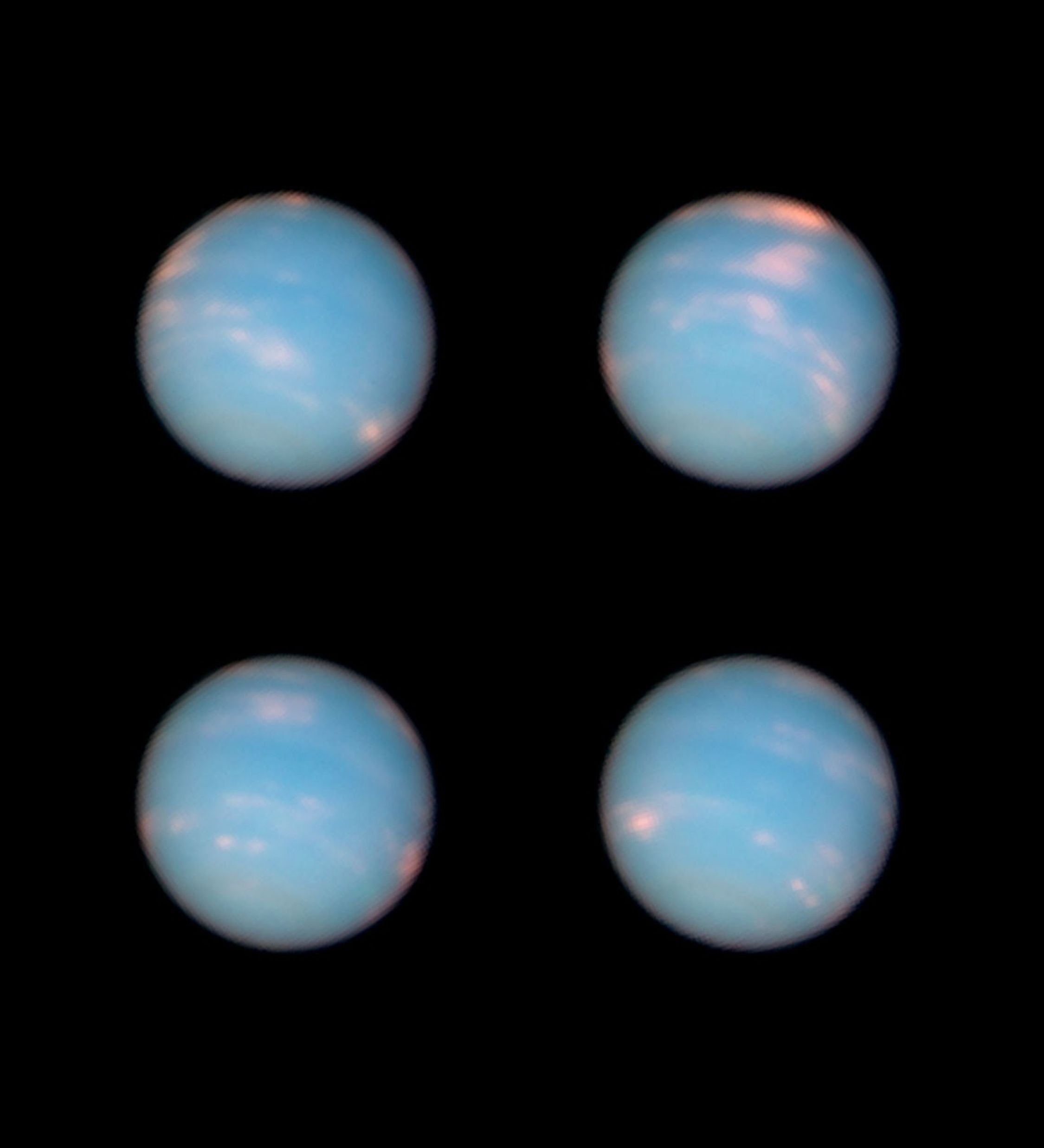 Neptune's Anniversary Portraits