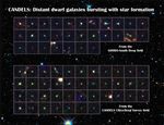 CANDELS Dwarf Galaxies