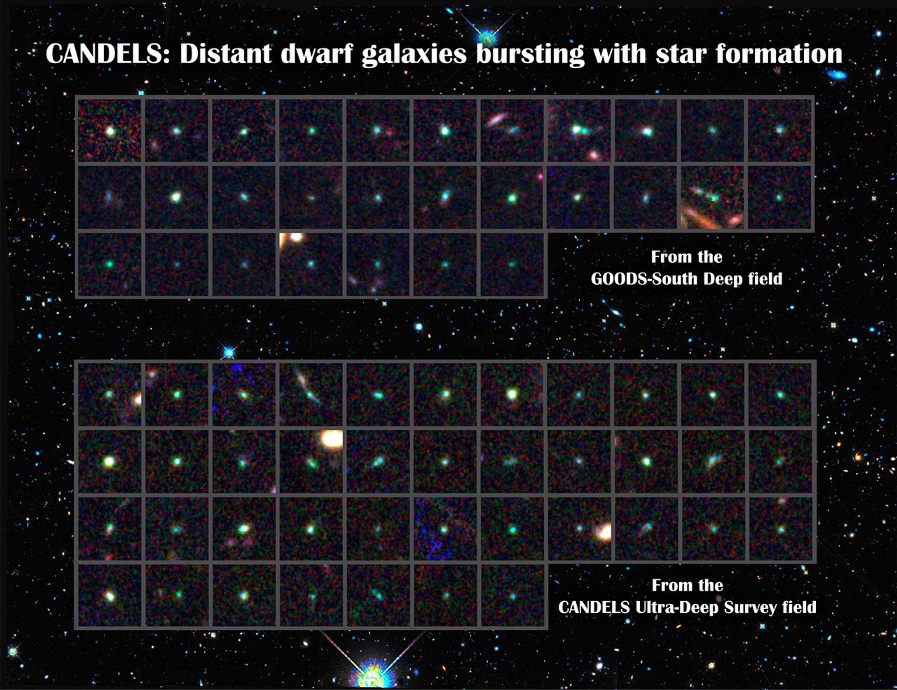 CANDELS Dwarf Galaxies