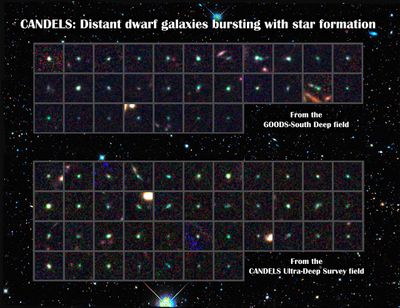 CANDELS Dwarf Galaxies