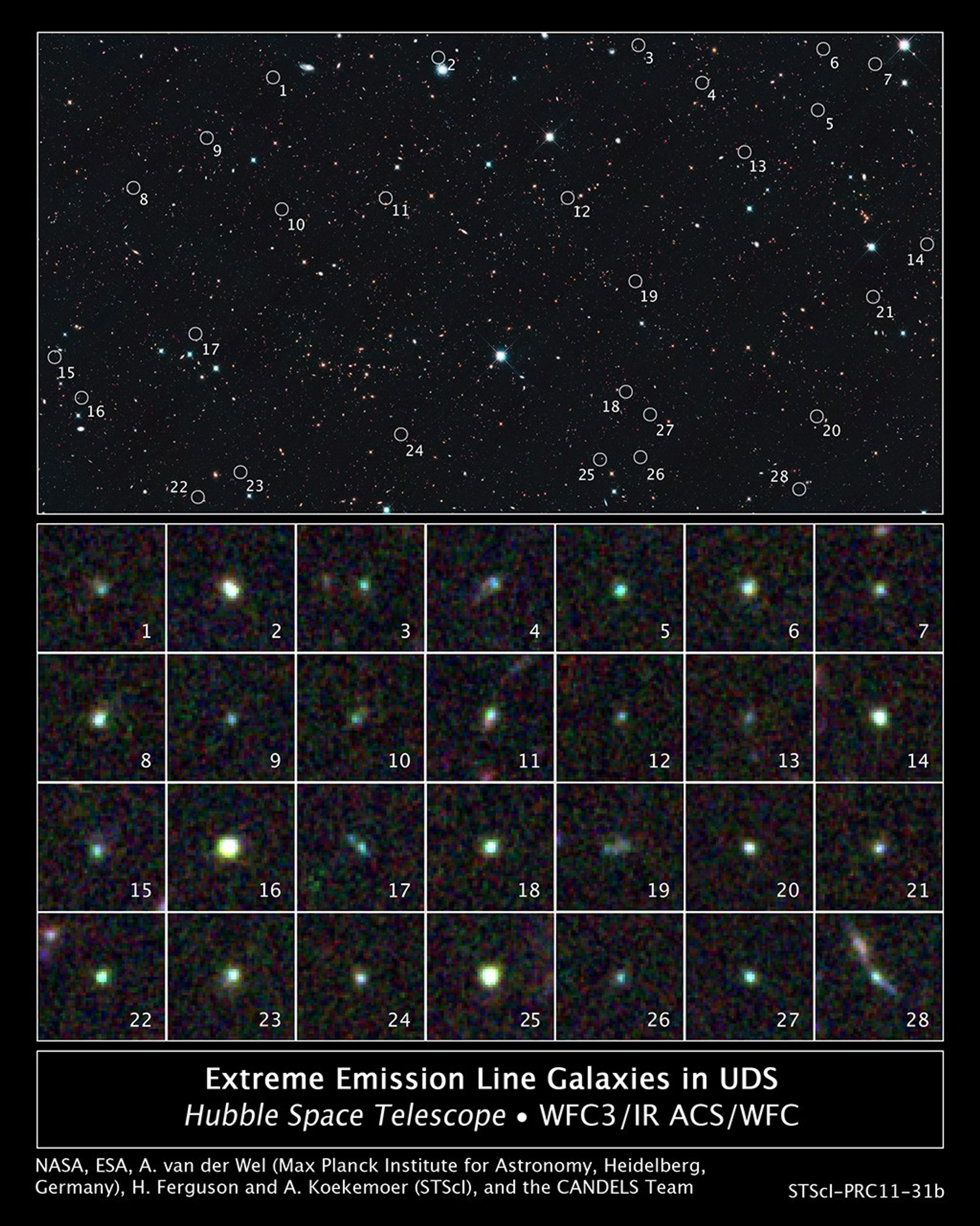 Hubble Spies Tiny Galaxies Aglow with Star Birth in the UDS Field