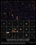 Tiny Galaxies Brimming with Star Birth in the GOODS Field